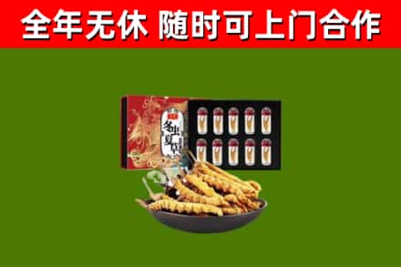 东安回收冬虫夏草价格