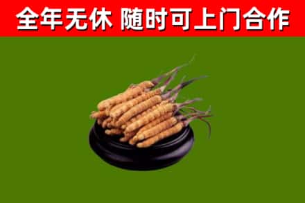 东安烟酒回收冬虫夏草.jpg